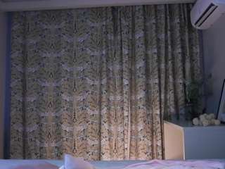 elverapitter