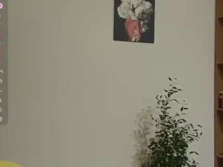 madokasatoschi
