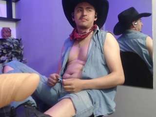 Alex-levi's cam show statistics and live stream