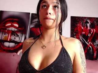 ariahcs