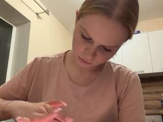 leidaholster