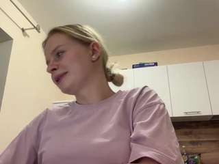 leidaholster