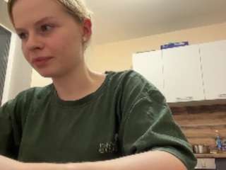 leidaholster