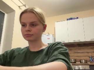 leidaholster
