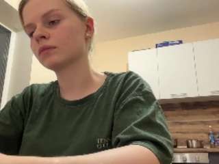 leidaholster