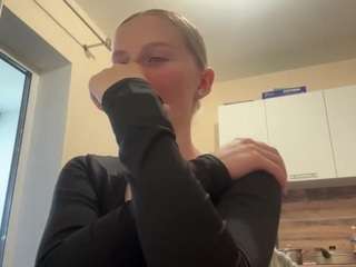 leidaholster