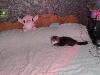 lillolly67