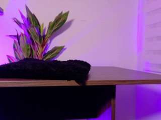 haileymitchell's live room