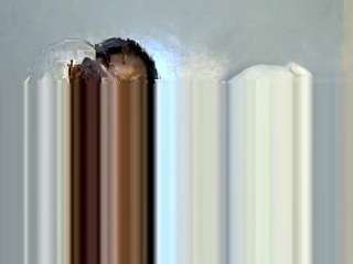 cocowantsyouu