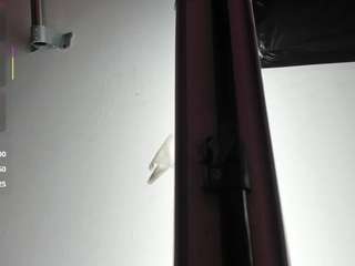 Cristal-quintero live cam preview