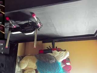 anyvelvet live webcam show