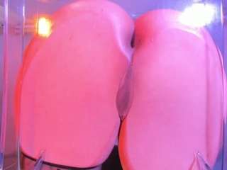 Milan-Daph live webcam show