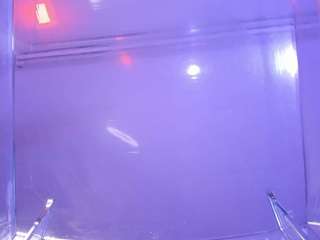 Milan-Daph live webcam show