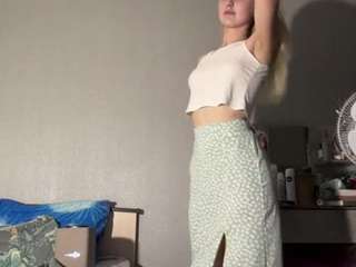 Ariel