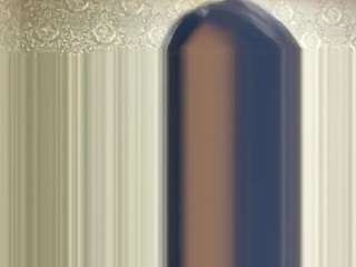 Nelly live webcam show
