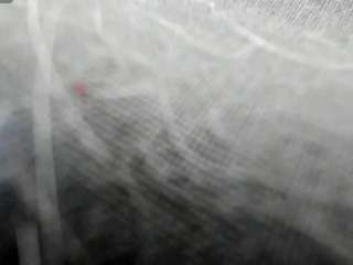 annalitlecute live webcam show