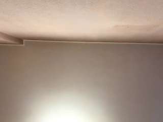 giselememmer live webcam show