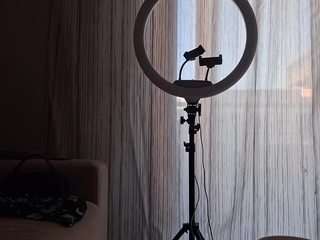 Dansly69