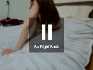 pandorasigona