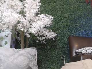 Saymarlunaa live cam