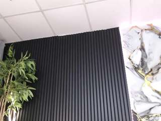 ArielleX live cam preview
