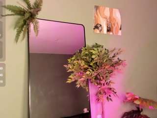 amelia-bliss