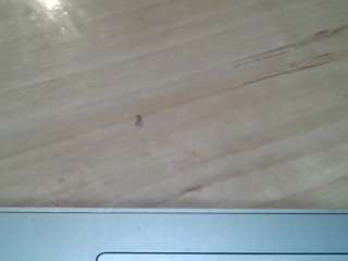 cordiarase