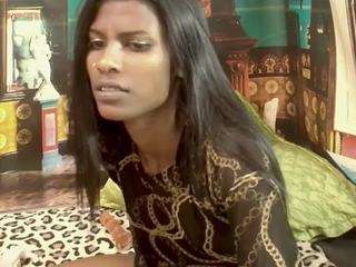 indiansilkyspice