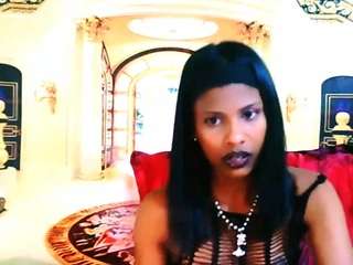 indiansilkyspice