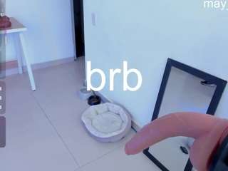 Mayfoxx06's cam show statistics and live stream