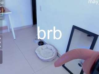 Mayfoxx06 live cam preview