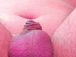 adrianlust