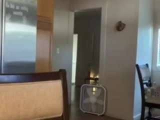 sinnamonbunniiii live webcam show