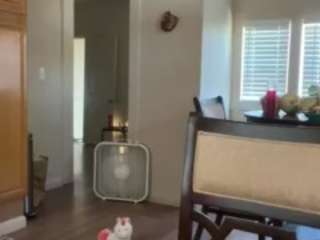 sinnamonbunniiii