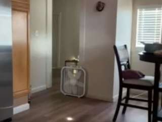 SinnamonBunniiii live webcam show