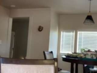 SinnamonBunniiii live webcam show