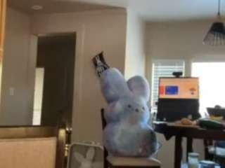 sinnamonbunniiii