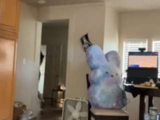 sinnamonbunniiii