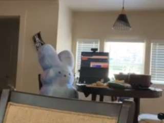 sinnamonbunniiii