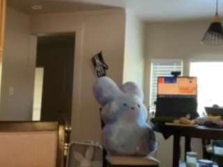 sinnamonbunniiii
