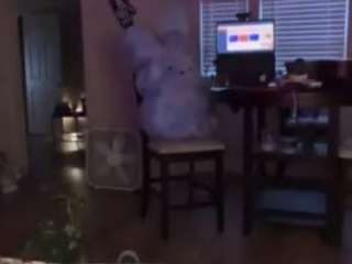sinnamonbunniiii