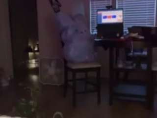 sinnamonbunniiii
