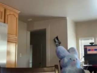 sinnamonbunniiii