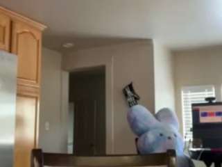 sinnamonbunniiii