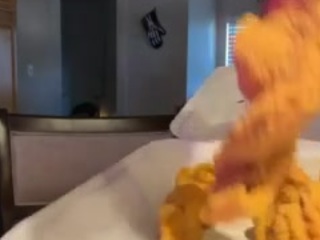 sinnamonbunniiii
