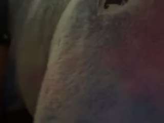 sinnamonbunniiii