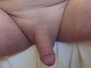 bobforapples202621026