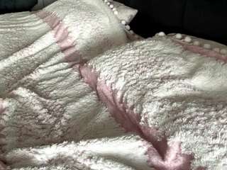 sofiaromelus