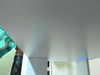 cataleya-flores