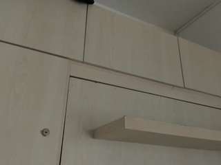 tylabloom